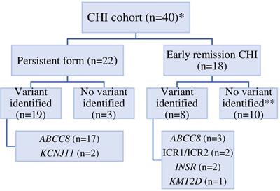 Congenital hyperinsulinism in the Ukraine: a 10-year national study